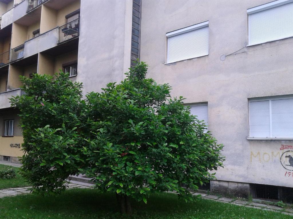 Apartment Ma 2 , 3 Rd Floor Μπάνια Λούκα Εξωτερικό φωτογραφία